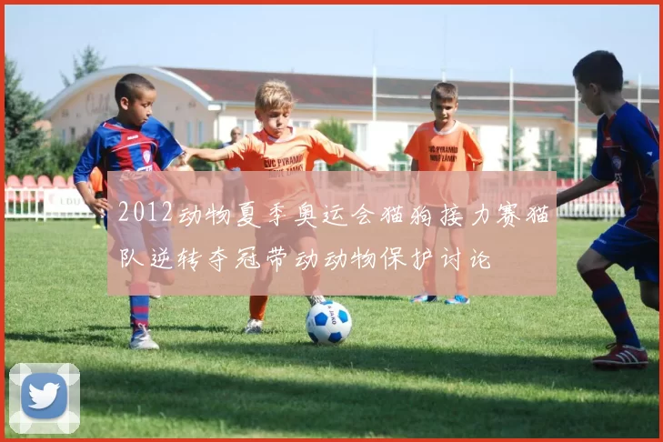 2012动物夏季奥运会猫狗接力赛猫队逆转夺冠带动动物保护讨论