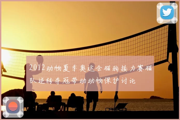 2012动物夏季奥运会猫狗接力赛猫队逆转夺冠带动动物保护讨论