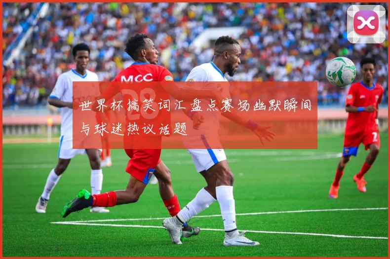 世界杯搞笑词汇盘点赛场幽默瞬间与球迷热议话题