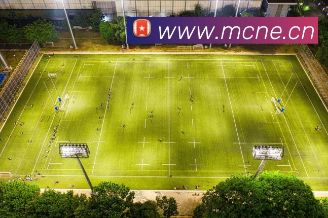 博鱼首页官网 - 博鱼(中国)APP 封面图